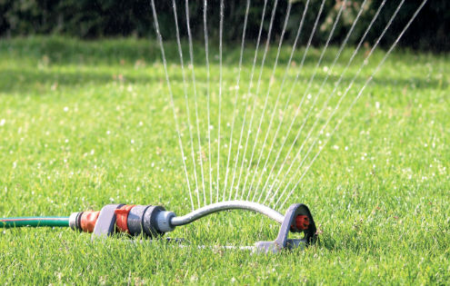 gartenpumpen-pauper-1